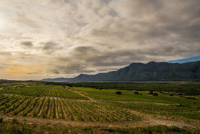 CLThomas_141119_9473