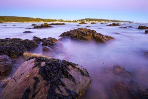 Cape-Aghulas-National-Park_Landscapes_Rudolph-de-Girardier__MG_8809-1200x559