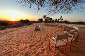 Kalahari Rangers (8)