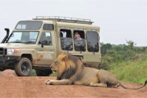 Outdoor adventure_Safaris by CrissCross Adventures