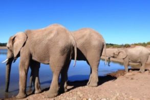 P1000025-e1560340741696