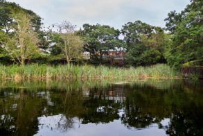 Quarry Lake Inn Pond
