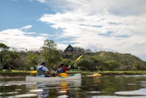 Webp.net-compress-image-5