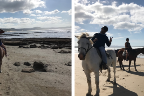 e8205e15-2125-48e2-85d8-ca7a7fe87089