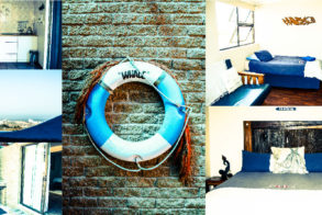 pasted image 1031x534