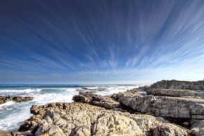 10177859_937814356281987_5326893220445387384_n