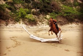 15895325_1279945195381912_7412877672230775433_n