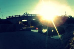 246411_439598482739726_1491259378_n