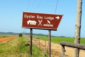 269796_456227874410120_354816361_n