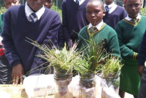 27544620_1584034941681179_3831263418625559455_n