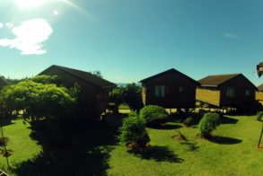 314893_439597936073114_1831392058_n