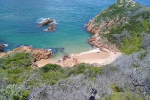 47576912_1967333066648147_2424458585611173888_o