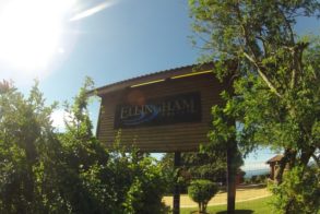 548849_439598129406428_207547702_n