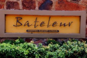 562934_379866918712883_1111703192_n