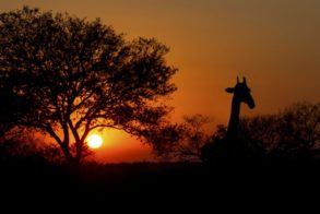 56533779_2181167821965109_2452446387808239616_o