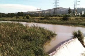 59437772_2244511525595081_6598609254733578240_o