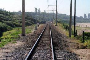 602379_439598556073052_1504240722_n