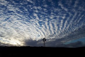 60565507_2232027500184948_4042212224431816704_o