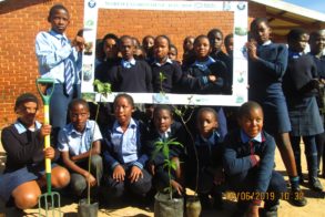 62103939_2302573789788854_2876074276526489600_o