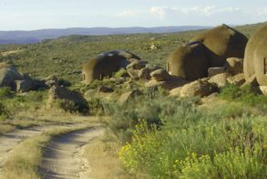 67205097_2345383015516062_1361540160801472512_o