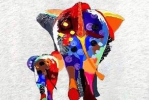 69124366_2378776802205512_2237852594586255360_n