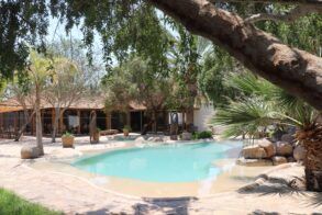 Norotshama River Resort 3