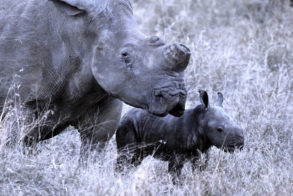 Photo 08-08-2019, 15 27 14