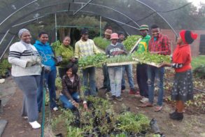 13246294_1141124892596417_3757179673998088419_o