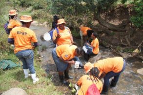 31166887_2128085863898204_1979278125799833600_o