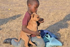 67512350_955186168146200_8447957597557882880_n