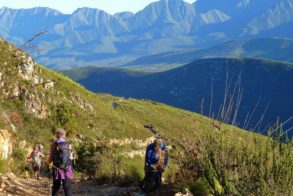 11954605_10153564518314035_6047138127439743925_n