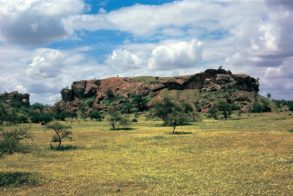 15540814_10157887514120635_7141519787648742816_o