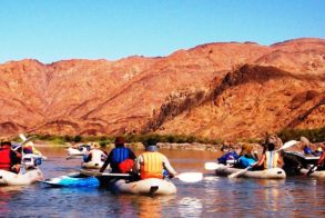 100_2784-2000x1137-e1453188669610