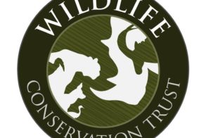 17342485_748882945270702_6616769089030141954_n