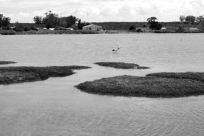 389992_323600734339502_499889802_n