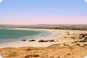 401608_322341384465437_1589198243_n