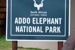 428915_451973148168926_967034550_n