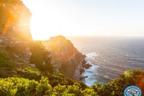 43207538_10156671914359798_3283802187725012992_n