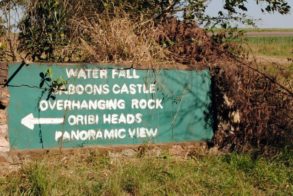 481094_439603102739264_1526640729_n