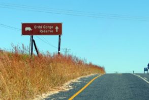 487675_439602389406002_561058655_n