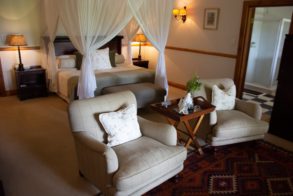 50911475_2034966713248342_7991748812781649920_o