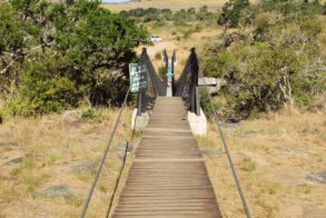 528041_439603009405940_541132182_n