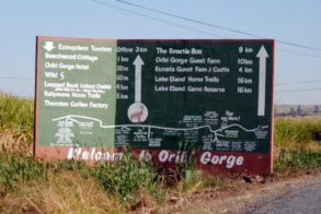 555934_439602452739329_1672792616_n