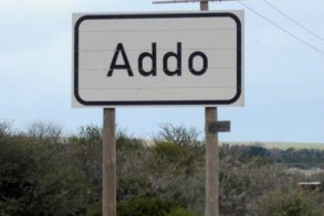 557229_451973391502235_769373395_n