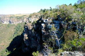 562729_439602809405960_1585812554_n