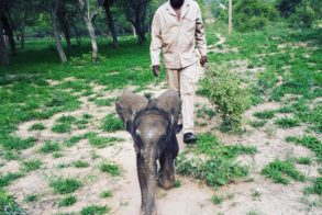 56757554_1221929491299376_6568135770278723584_n