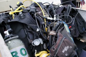 575496_439595036073404_2102577626_n