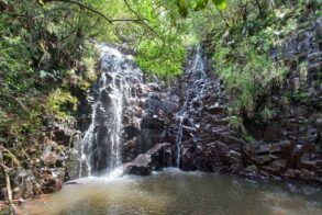 Mount Sheba Pilgrims Rest (1)