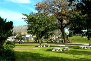 10386975_260857610769336_853460805698176962_o