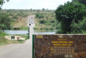 13048052_1110472888972945_6460099951163782571_o